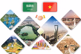 Enhancing Vietnam - Saudi Arabia cooperative ties