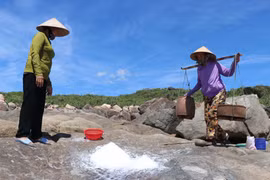 2,000-year-old salt field of the Sa Huynh people discovered