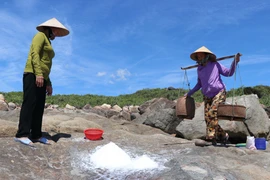 2,000-year-old salt field of the Sa Huynh people discovered