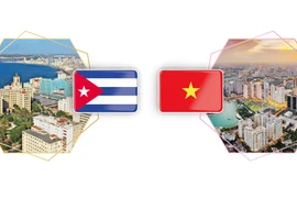 Vietnam-Cuba traditional solidarity, special friendship 