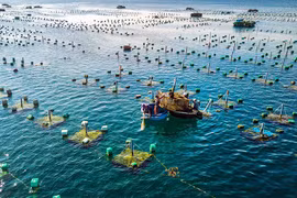Project on marine aquaculture development till 2030 approved