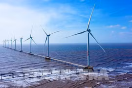 Vietnam to cut gas power capacity in electricity development plan