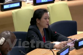 Vietnam backs law enforcement in line with UN Charter: Ambassador 