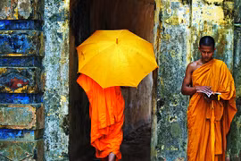  Vietnamese artists win prizes at New Zealand photo competition
