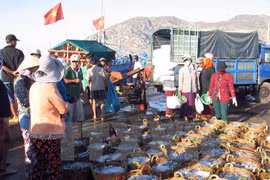 Vietnam learns from Norway’s experience in marine economic development