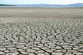 Thailand faces water crisis this year