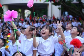 UN conference spotlights Vietnam’s MDGs realisation effort 