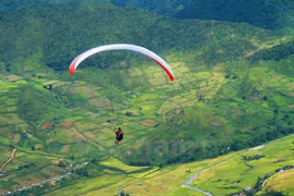 Paragliding over yellow terraced rice fields