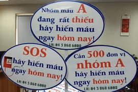  Hanoi needs more type A blood donors 