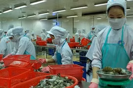 Vietnamese shrimp exports to UK rise 