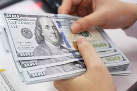 Vietnam invests 432 million USD abroad in 2018