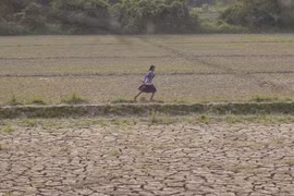 FAO assists Myanmar to improve food security