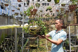 Flower trade is blooming tough