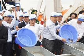 Efforts made to restore aquatic resources in Gulf of Tonkin 