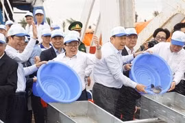 Efforts made to restore aquatic resources in Gulf of Tonkin 