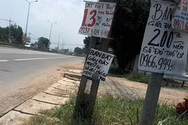 Long Thanh airport plans send land prices soaring