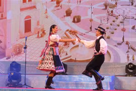 Hungarian cultural week kicks off in Can Tho