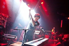 Hanoi hosts Countdown 2020 in city centre