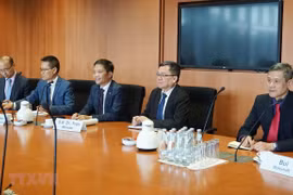 Vietnam supports green energy development: official