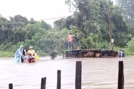 Heavy rain, flooding cause losses in Dak Lak province