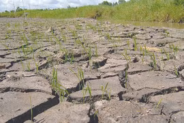 Climate change plan needs to cover vulnerable groups
