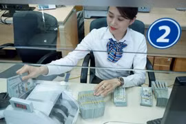 Exchange rate to be stable in 2019