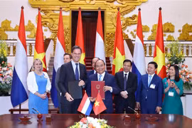 Vietnam, Netherlands agree to lift ties to comprehensive partnership 