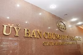 Non-voting shares could lure more foreign capital to Vietnamese firms