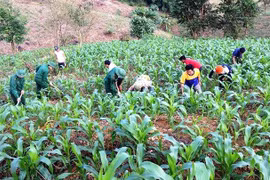 US-funded sub-project aims to protect eco-diversity in Thua Thien-Hue 
