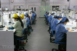 Vietnam economic yearbook points out 2 scenarios