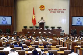 NA deputies discuss more proposals, reports on May 29