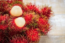 German firm develops bioactives for cosmetics from Vietnam’s rambutan 