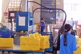 Rubber industry faces falling export price