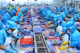 EVFTA offers huge opportunities for seafood sector to reach out