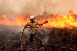 Many forest fire hotspots discovered in Indonesia 