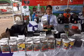 Cooperative turns Son La coffee into profitable business