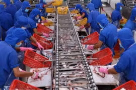 Vietnam’s tra fish exports to reach 2.3 billion USD in 2019