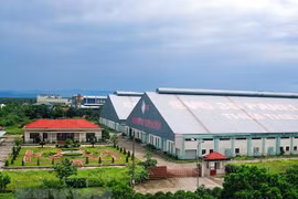 Thua Thien-Hue strives to attract more capital in 2019 