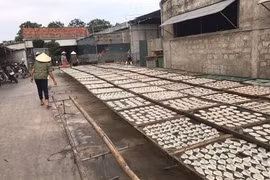 Nghe An: Alarm raised over pollution at craft villages