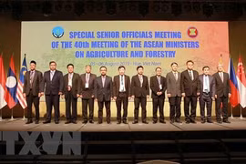 ASEAN forges cooperation in agriculture, forestry 
