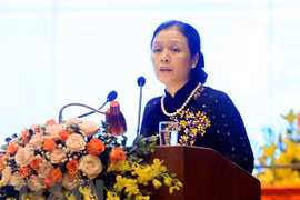 Nguyen Phuong Nga elected as VUFO President 