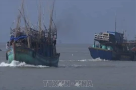 Storm Pabuk sinks many vessels in southern province