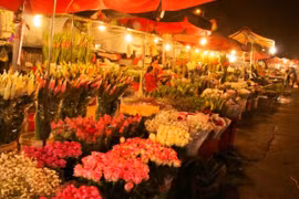 Hanoi flower market among top spots for Lunar New Year celebrations: CNN
