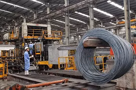 Vietnam needs to do more to avoid trade fraud