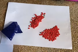 Major drug case busted in Thanh Hoa province