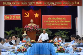 Ca Mau should develop more hi-tech business models: PM