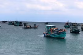 Khanh Hoa works to fight IUU fishing