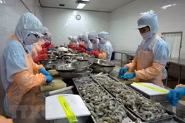 Zero-percent tariffs prove Vietnamese shrimp exporters’ transparency