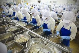 13 agricultural products could prove lucky for Vietnam
