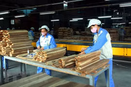 2018 a successful year for wood industry